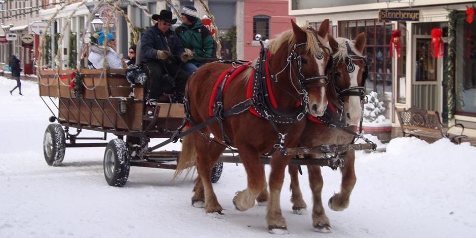 image of sleigh ride in georgetown