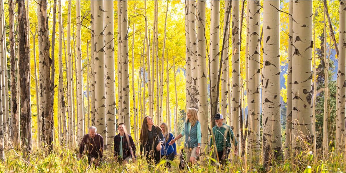 Best Hikes in Vail, CO, in the Fall