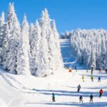 Top 10 Family Recreational Activities in Keystone, Colorado