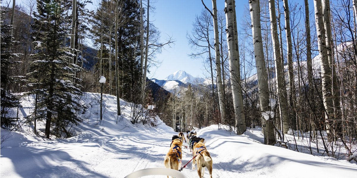 Winter Vacation Activities for Aspen