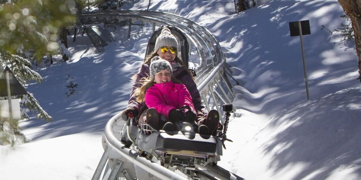 Breathtaker Alpine Coaster