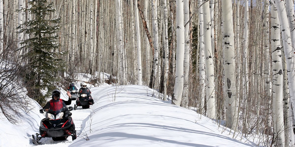 Snowmobile tours are open November to April!